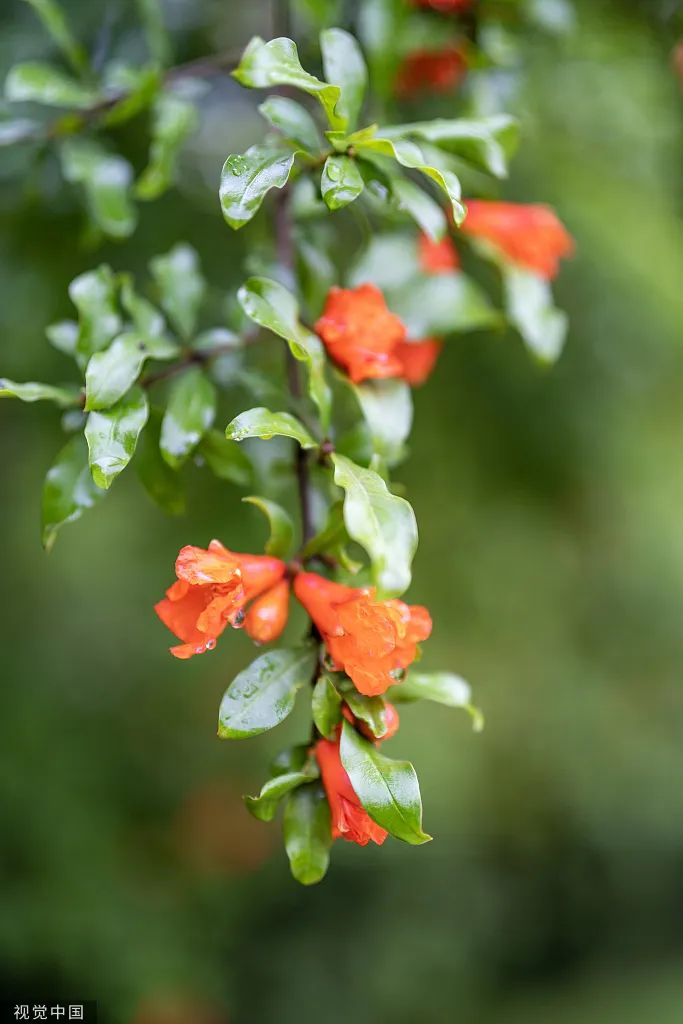 尊龙凯时人生就是搏 -首页官网